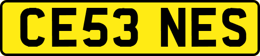 CE53NES