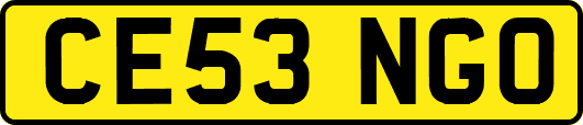 CE53NGO