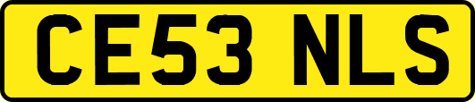 CE53NLS