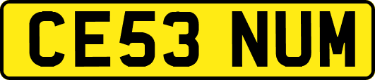 CE53NUM