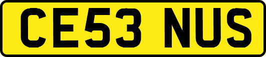 CE53NUS