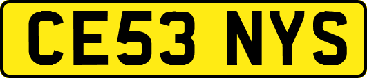 CE53NYS