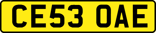 CE53OAE