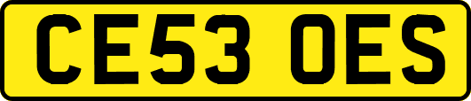 CE53OES