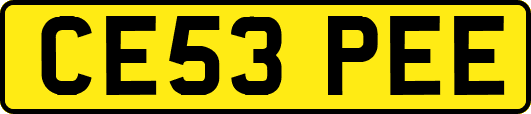 CE53PEE