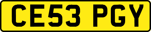 CE53PGY