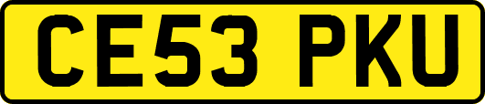 CE53PKU