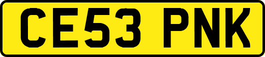 CE53PNK