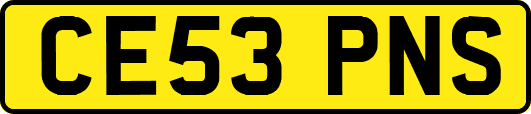 CE53PNS