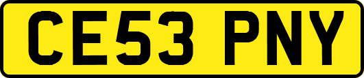 CE53PNY