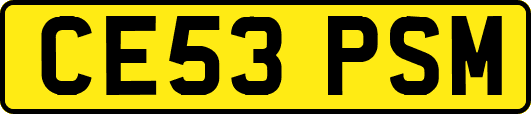 CE53PSM