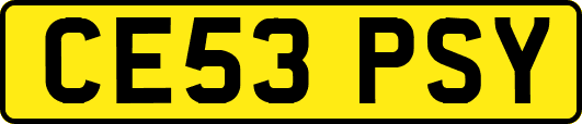 CE53PSY