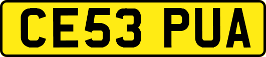 CE53PUA