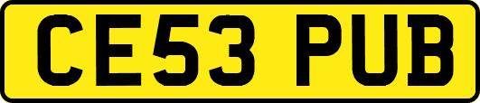 CE53PUB