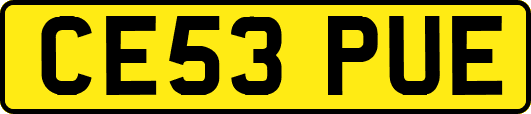 CE53PUE