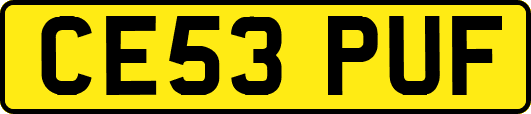 CE53PUF