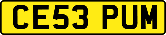 CE53PUM