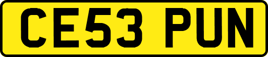 CE53PUN
