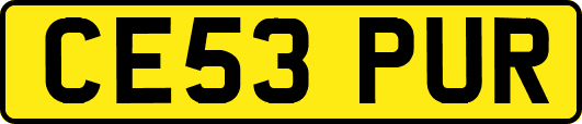CE53PUR