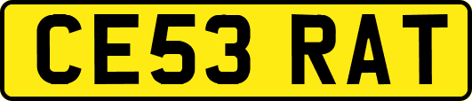 CE53RAT