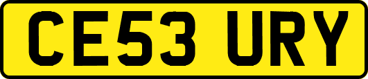 CE53URY