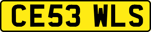 CE53WLS