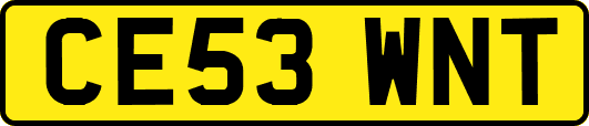 CE53WNT