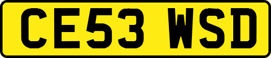 CE53WSD
