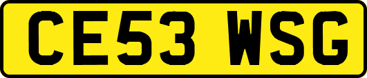CE53WSG