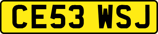 CE53WSJ