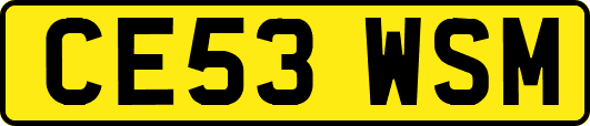 CE53WSM