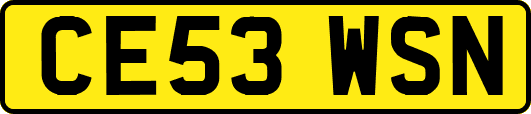 CE53WSN
