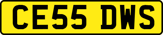 CE55DWS