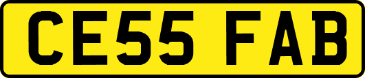 CE55FAB