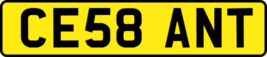 CE58ANT
