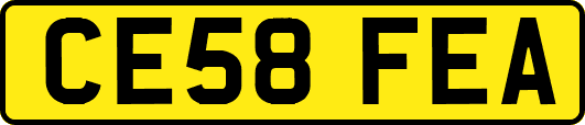 CE58FEA