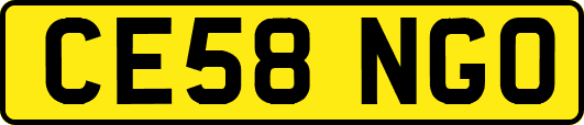 CE58NGO