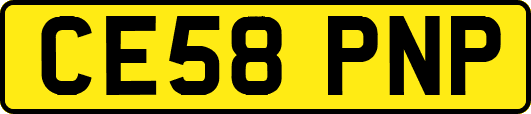 CE58PNP