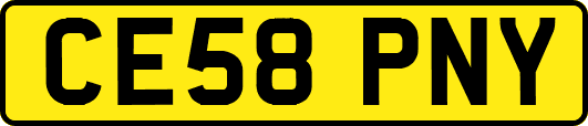 CE58PNY
