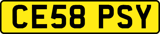 CE58PSY