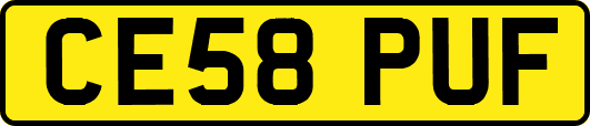 CE58PUF