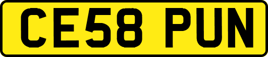 CE58PUN
