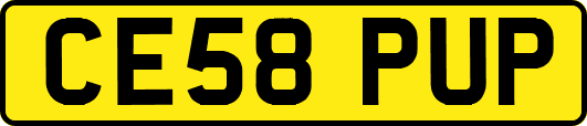 CE58PUP