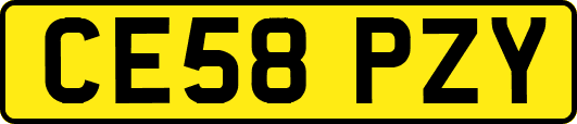 CE58PZY
