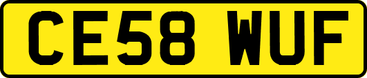 CE58WUF