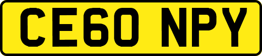 CE60NPY