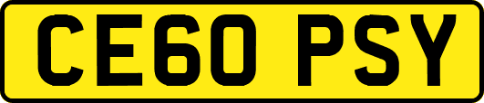CE60PSY
