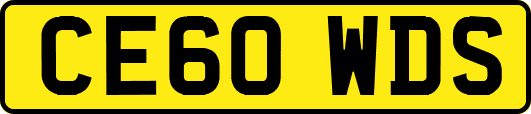 CE60WDS