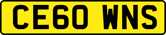 CE60WNS