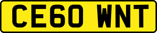 CE60WNT